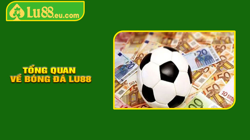 Giới Thiệu Tổng Quan Về Bóng Đá LU88